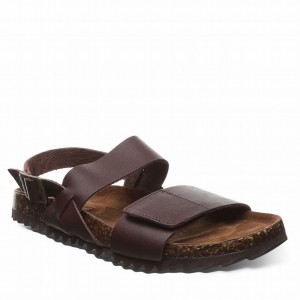 Women Bearpaw Alma II Sandals Brown | BGN6662RA