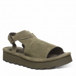 Women Bearpaw Ascend Sandals Green | ASA427MC