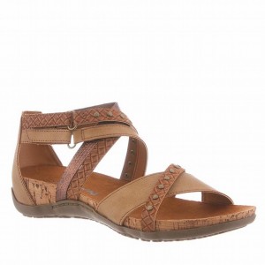 Women Bearpaw Julianna II Sandals Brown | YOU7974BY