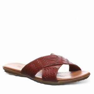 Women Bearpaw Ximena Sandals Brown | IZZ203LI