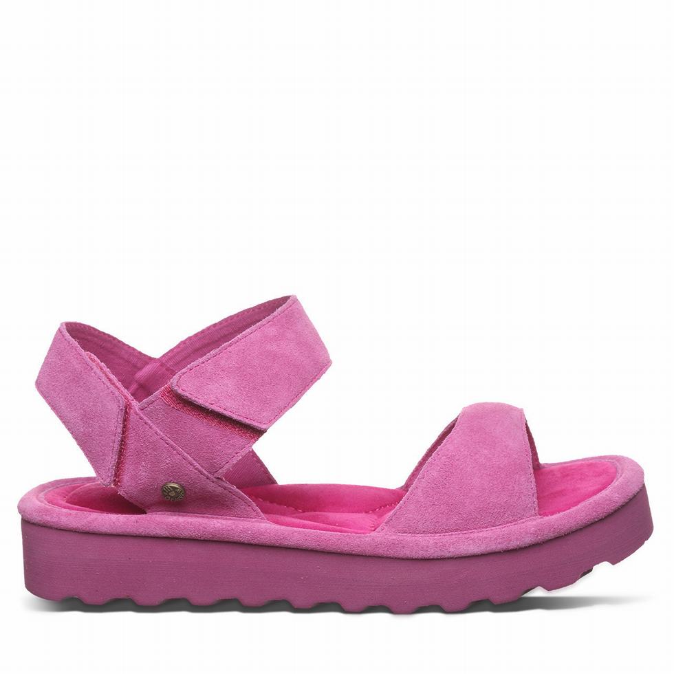 Women Bearpaw Crest Sandals Purple | FUT6815DA