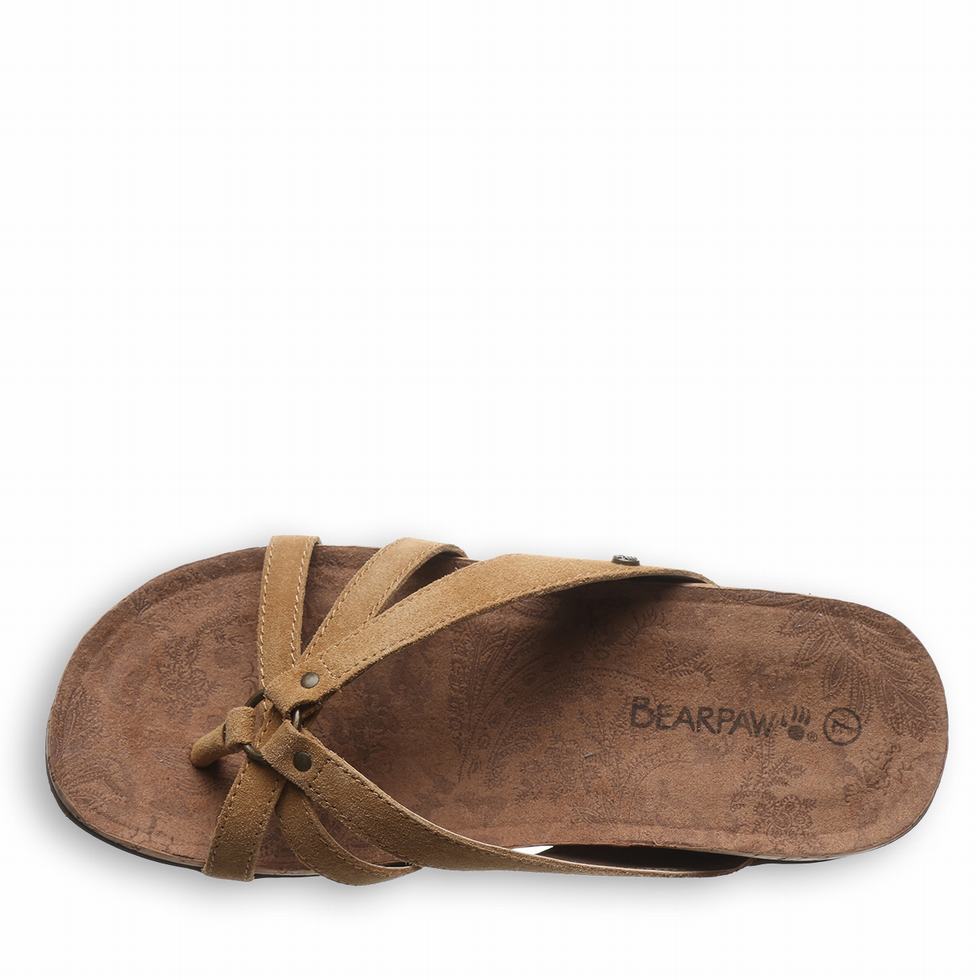 Women Bearpaw Fawn Sandals Brown | ARH8359DJ