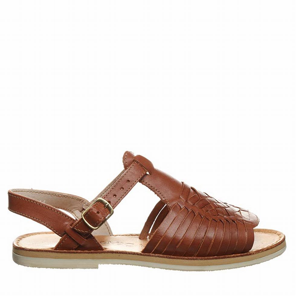 Women Bearpaw Gloria Sandals Brown | ALN8049QV