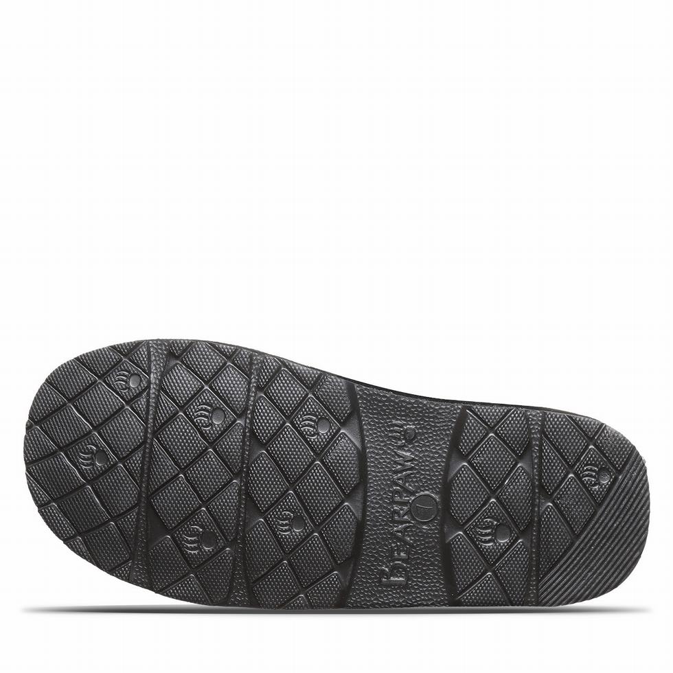 Women Bearpaw Loki Exotic Slippers Black | LDG9697UI