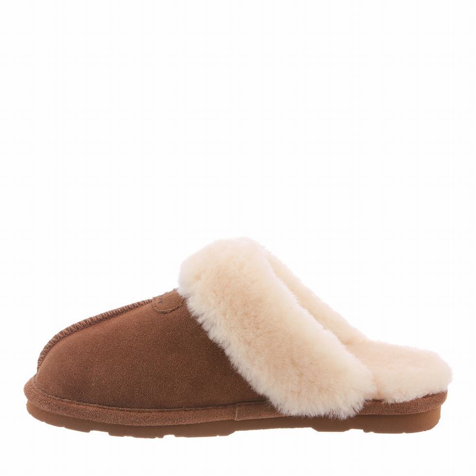 Women Bearpaw Loki Slippers Brown | GQB3334PY