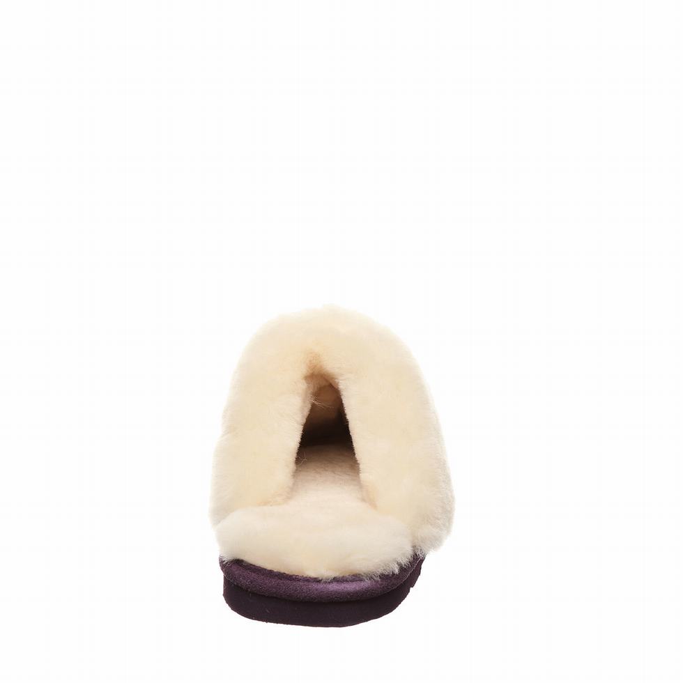 Women Bearpaw Loki Slippers Red | YBZ9528SB