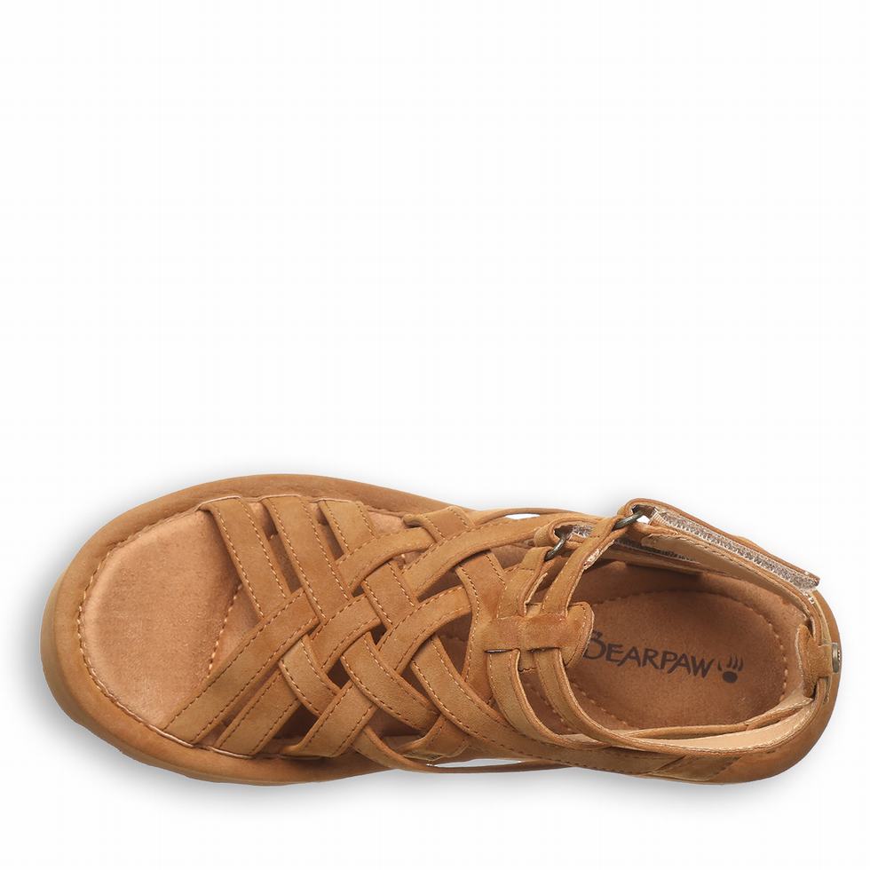 Women Bearpaw Prominence Sandals Brown | QMN2178CH