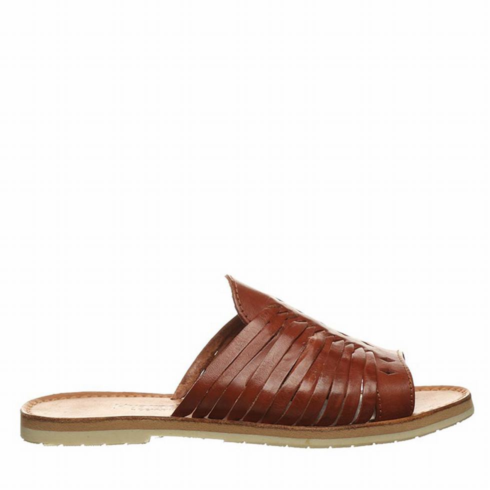 Women Bearpaw Rosa Sandals Brown | PQK1038GJ