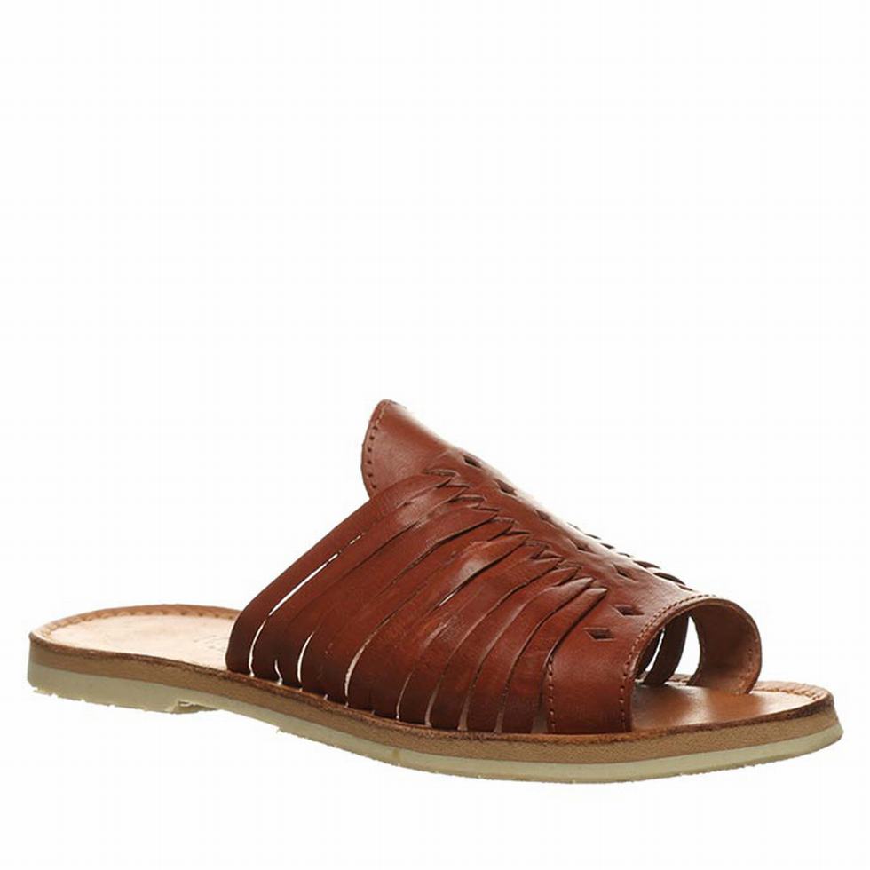 Women Bearpaw Rosa Sandals Brown | PQK1038GJ