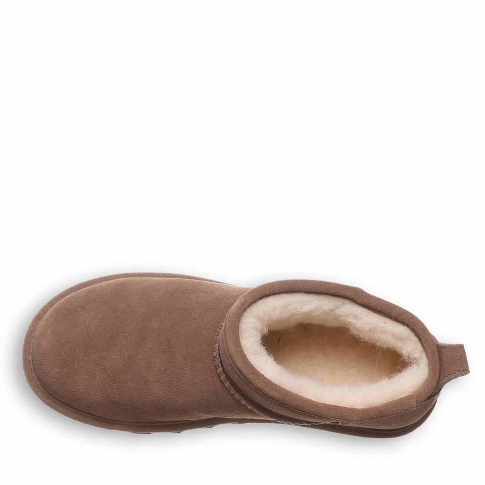 Women Bearpaw Shorty Booties Brown | JYO976KP