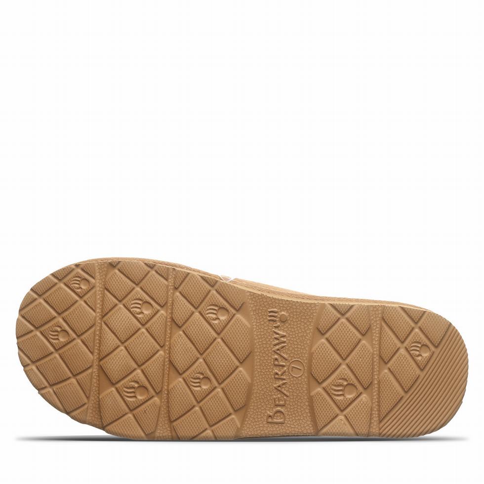 Women Bearpaw Tabitha Slippers Brown | JSB1545XK