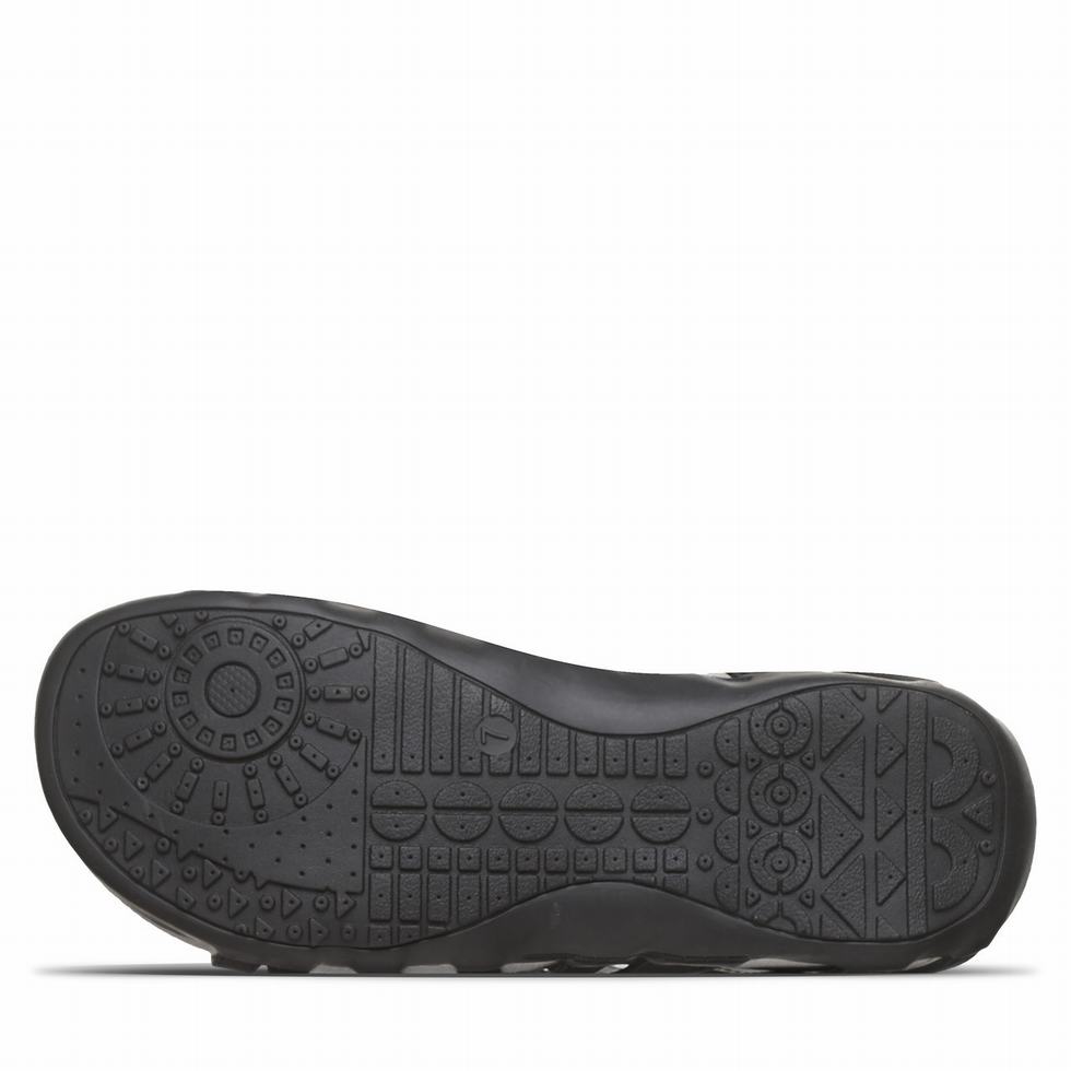 Women Bearpaw Zinnia Sandals Black | LLE1554OB