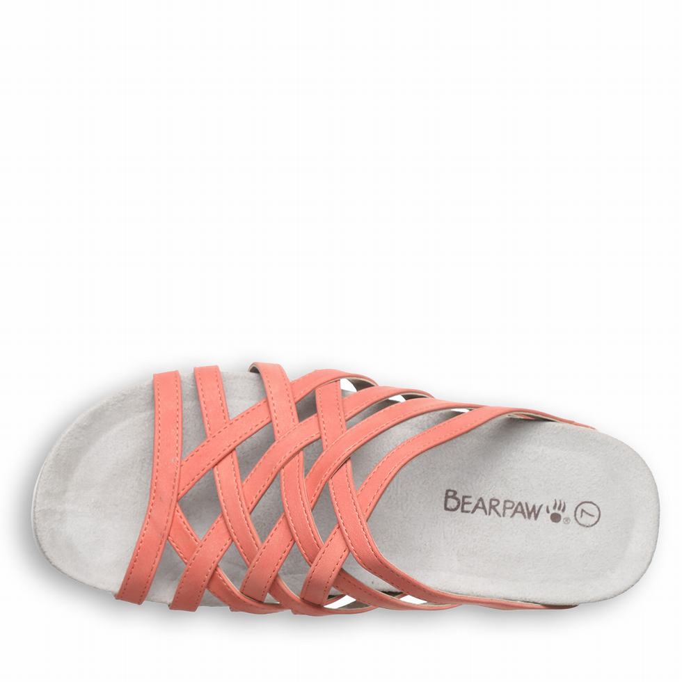 Women Bearpaw Zinnia Sandals Pink | ULU2534YJ